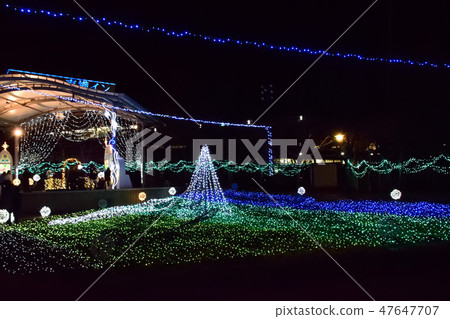 SAKU BLOOM Illuminations 47647707