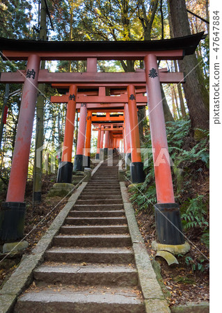 伏見Inari Taisha Torii京都的Torii Torii 伏見Inari Taisha Torii京都的Torii Torii 47647884