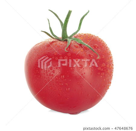 tomato isolated on white background tomato isolated on white background 47648676
