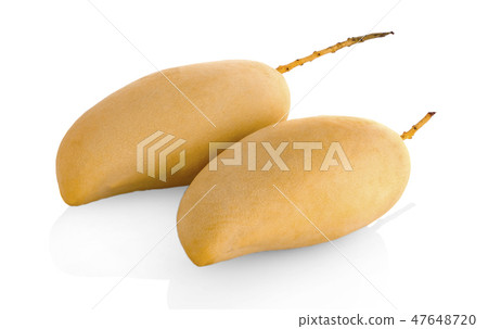 mango fruit isolated on white background 47648720