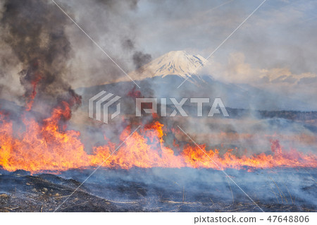 Field burn and Mt. Fuji in Asagiri Heights, Shizuoka prefecture Field burn and Mt. Fuji in Asagiri Heights, Shizuoka prefecture 47648806