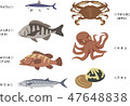 Seafood (Osaka bay, Setonaikai etc.) 47648838