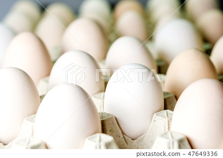 eggs in carton package 47649336