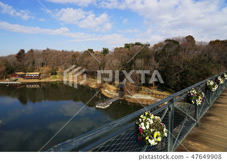 January Funabashi Anderson Park 31 Sun pond and bridge 47649908