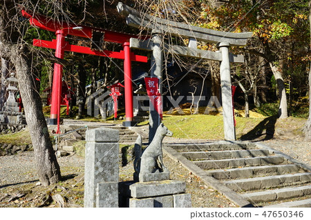Shiwa Inari神社的狐狸 Shiwa Inari神社的狐狸 47650346