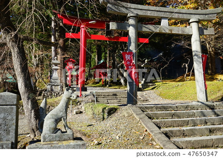 Shiwa Inari神社的狐狸 Shiwa Inari神社的狐狸 47650347