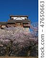Cherry Blossoms   47650663