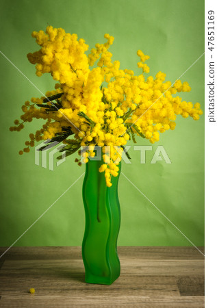 Spring bouquet with mimosa and tulips in a vase Spring bouquet with mimosa and tulips in a vase 47651169