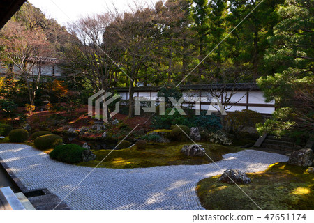 Winter's Senggi temple garden Winter's Senggi temple garden 47651174