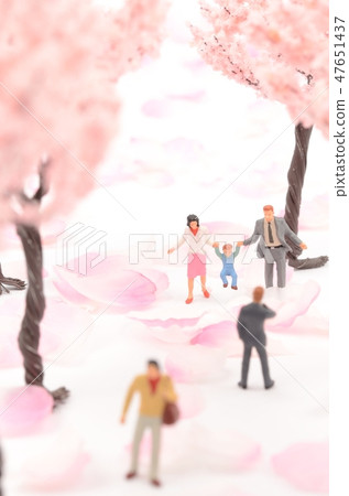 Row of cherry trees Row of cherry trees 47651437