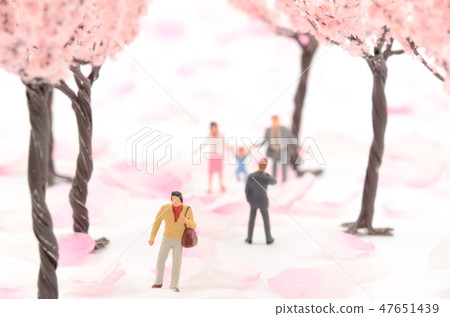 Row of cherry trees Row of cherry trees 47651439