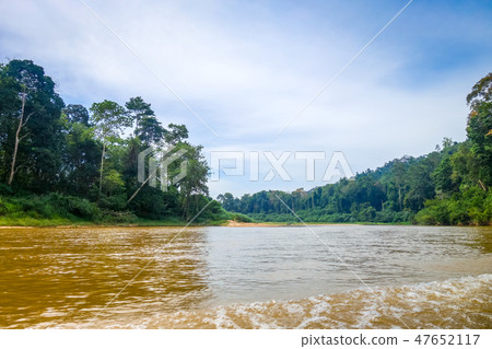 River and jungle in Taman Negara park, Malaysia 47652117
