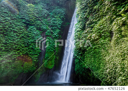 Red Coral Waterfall, Munduk, Bali, Indonesia 47652126
