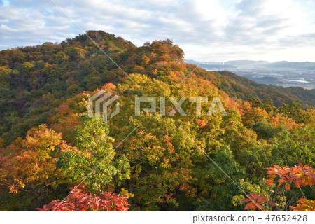 View the summit direction from the peak on the southern side of Oyama Oyama Koyama of autumn leaves View the summit direction from the peak on the southern side of Oyama Oyama Koyama of autumn leaves 47652428