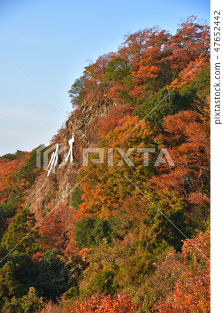 Viewing the southern direction from the east side of the mountaintop of Oyama Oyama Koyama in autumn leaves 47652442
