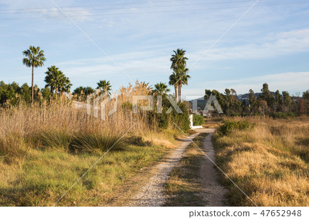 Nature, travel and adventure concept - Country road in South Spain Nature, travel and adventure concept - Country road in South Spain 47652948