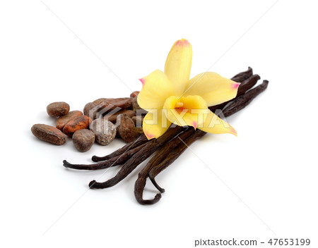 vanilla and cocoa beans with one yellow orchid 47653199