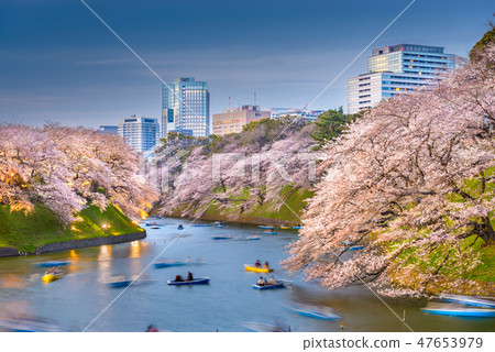 Tokyo, Japan at Chidorigafuchi Imperial Palace 47653979
