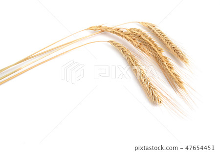 Rye cereals isolated 47654451