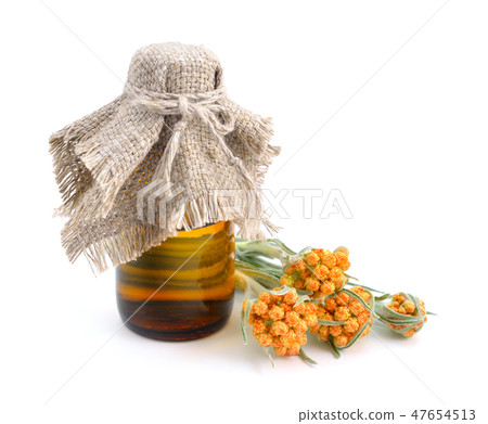 Helichrysum luteoalbum with essential oil Helichrysum luteoalbum with essential oil 47654513