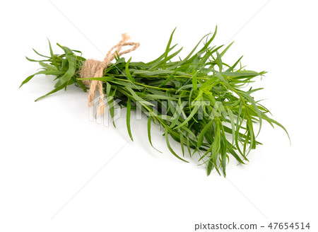 Tarragon (Artemisia dracunculus) Tarragon (Artemisia dracunculus) 47654514