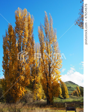 New Zealand Hayes Lakeside New Zealand Hayes Lakeside 47654676