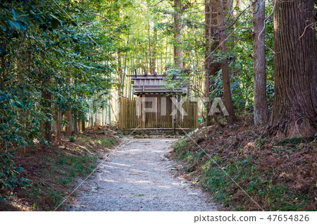 Katori Jingu Okumiya（千葉縣香取市）自2019年1月起 47654826