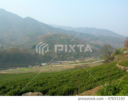 Jiri Mountain 47655193