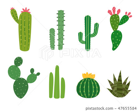 Cactus collections vector set Cactus collections vector set 47655584