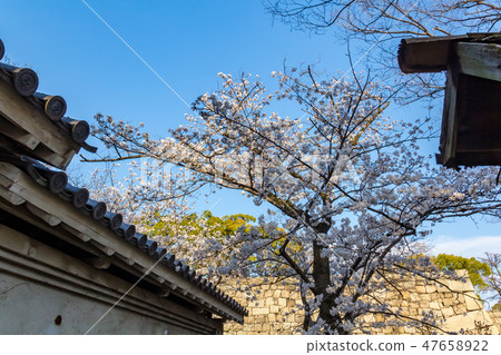 Nishinomaru門大阪城公園 47658922