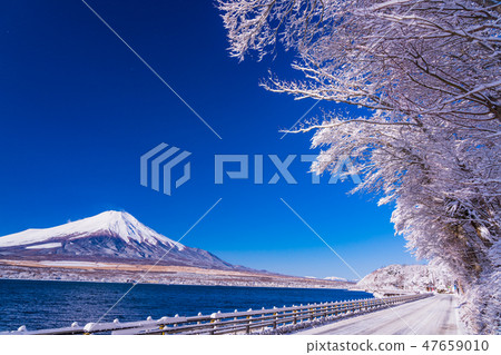 （山梨縣）富士山希望從積雪覆蓋的山區湖畔 47659010