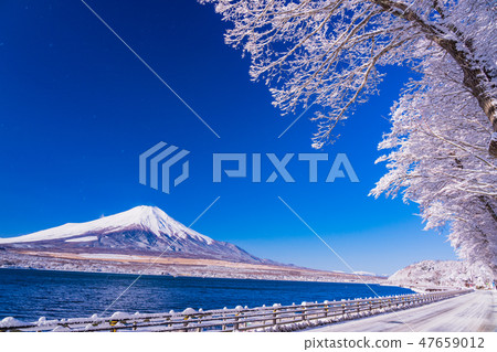 (Yamanashi Prefecture) Mt. Fuji desiring from snow-covered mountain lakeside 47659012