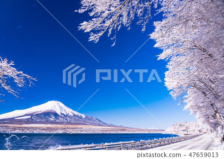 (Yamanashi Prefecture) Mt. Fuji desiring from snow-covered mountain lakeside 47659013