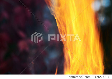 burning flame on a background of autumn leaves burning flame on a background of autumn leaves 47659097