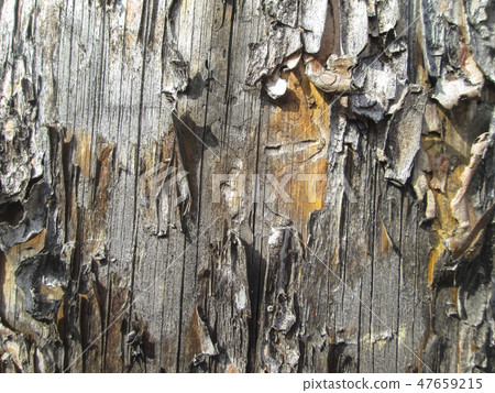 Wooden background Wooden background 47659215