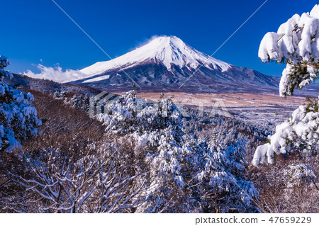 (Yamanashi Prefecture) Mt. Fuji from the snow-capped 20th pass 47659229