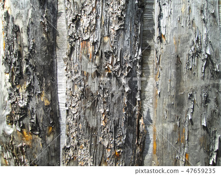 Wooden background 47659235