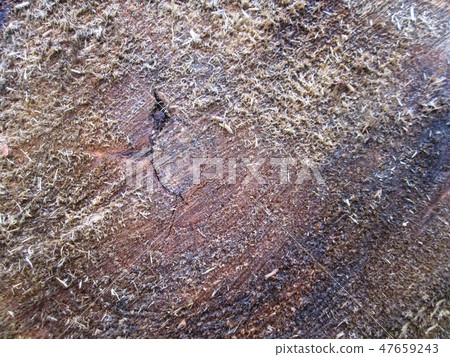Wooden background Wooden background 47659243