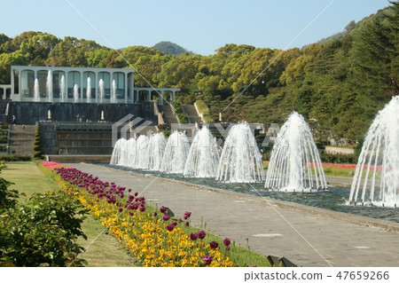 Kufu in early summer where tulip blooms, Suma Rikyu park 47659266
