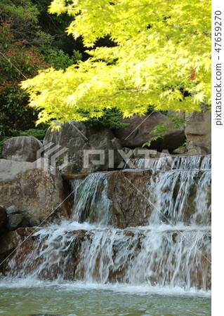 Falls of early summer Kobe, Suma Rikyu park filled with fresh green Falls of early summer Kobe, Suma Rikyu park filled with fresh green 47659270