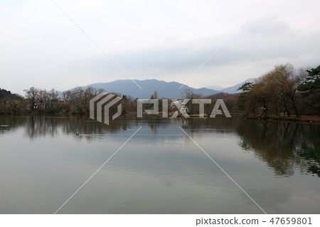 三島池塘1（滋賀縣池原市米原市） 47659801