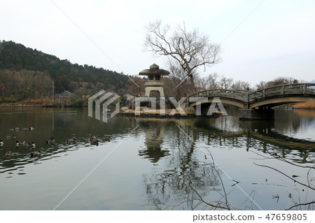 Mishima Pond.5 (Yonebara shi, Shiga prefecture) Mishima Pond.5 (Yonebara shi, Shiga prefecture) 47659805