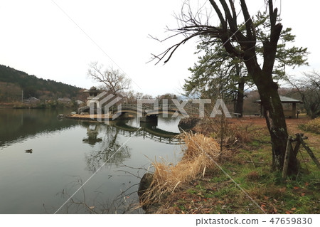 三島池.27(滋賀縣池原市米原市) 三島池.27(滋賀縣池原市米原市) 47659830