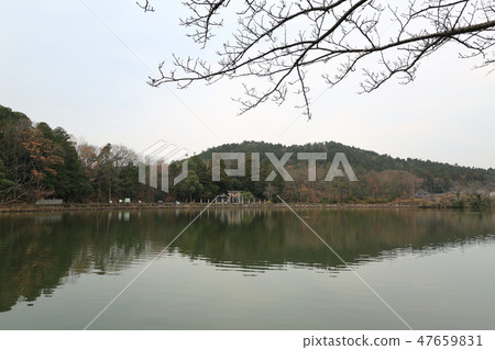 Mishima Pond.29 (Yonehara shi, Shiga prefecture Ikegamashi) Mishima Pond.29 (Yonehara shi, Shiga prefecture Ikegamashi) 47659831