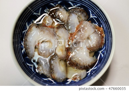 Vinegar sea cucumber, Akune City, Kagoshima Prefecture Vinegar sea cucumber, Akune City, Kagoshima Prefecture 47660035
