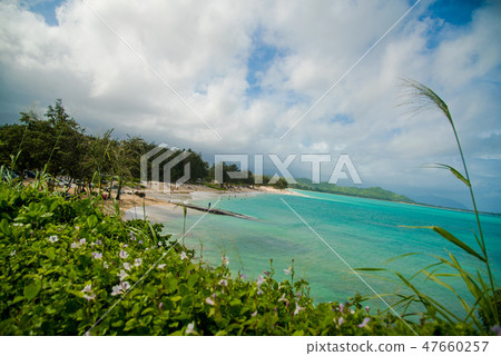 凱盧阿海灘 凱盧阿海灘 47660257