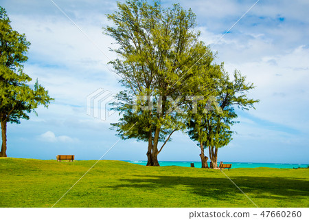 Kailua Beach Park 47660260