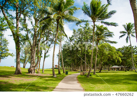 凱盧阿海灘公園 凱盧阿海灘公園 47660262