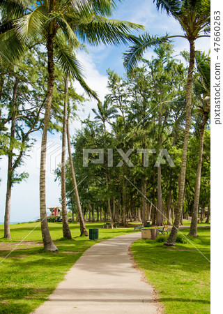 凱盧阿海灘公園 凱盧阿海灘公園 47660263