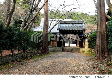 Suako山藍色岸寺30(滋賀縣Maibara市) Suako山藍色岸寺30(滋賀縣Maibara市) 47660593